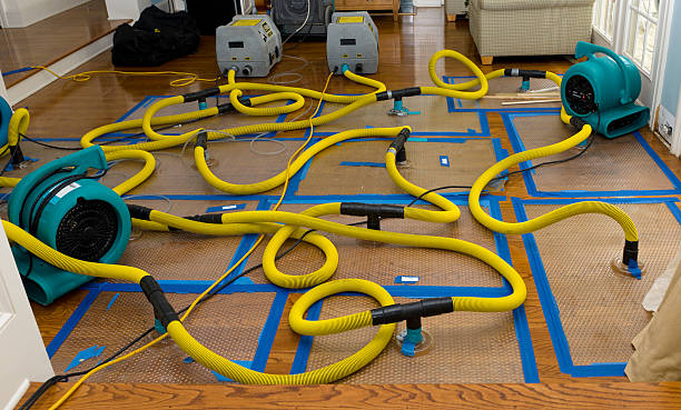 Professional Basement Flood Cleanup technician working in Glade Park, CO